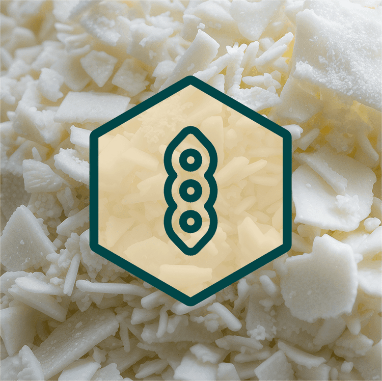 Soy Wax Collection